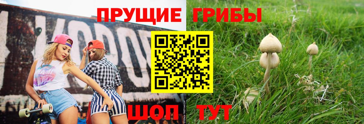 Гудермес  Псилоцибиновые грибы Cubensis  Вход с VPN 